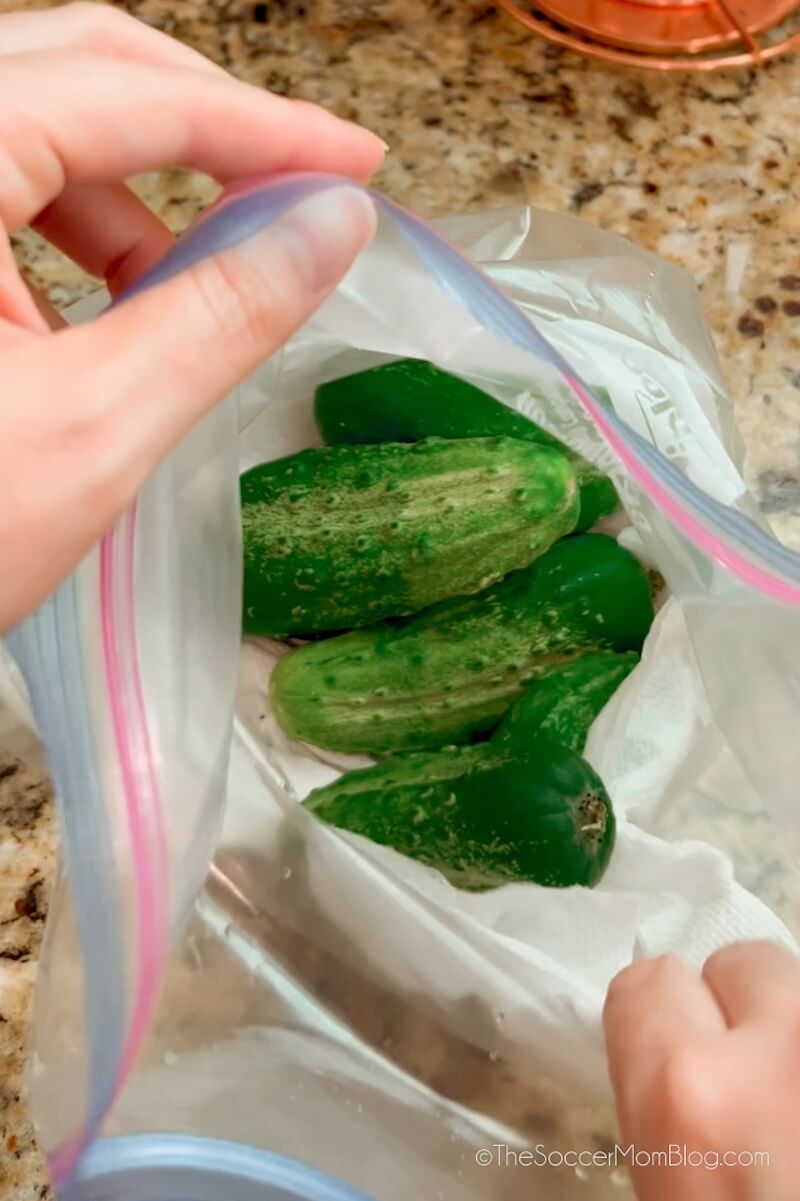 cucumbers in a bag