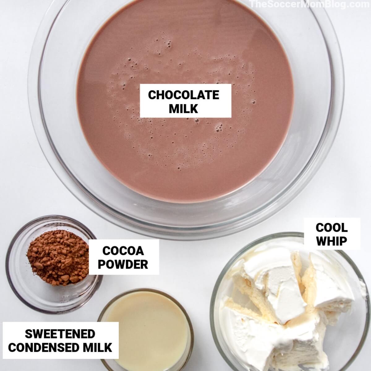 ingredients to make a copycat Wendy's Frosty, with text labels: chocolate milk, cocoa powder, Cool Whip, sweetened condensed milk