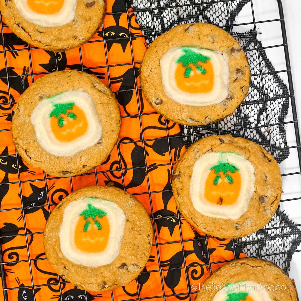 close up of chocolate chip cookies topped with pumpkin-shaped sugar cookies.