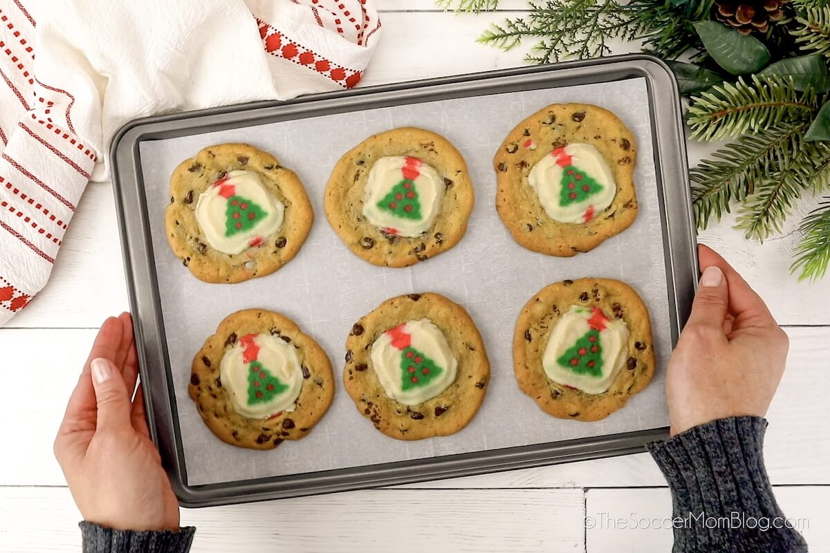 holding a baking tray with Christmas cookies made with chocolate chip cookie base and Christmas tree sugar cookie on top.