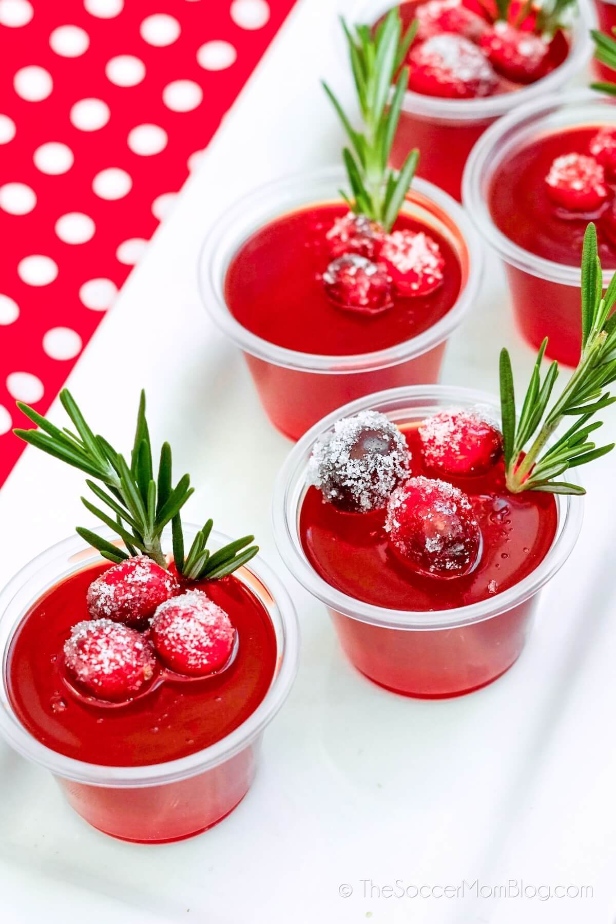 cranberry jello shots topped with sugared cranberries.