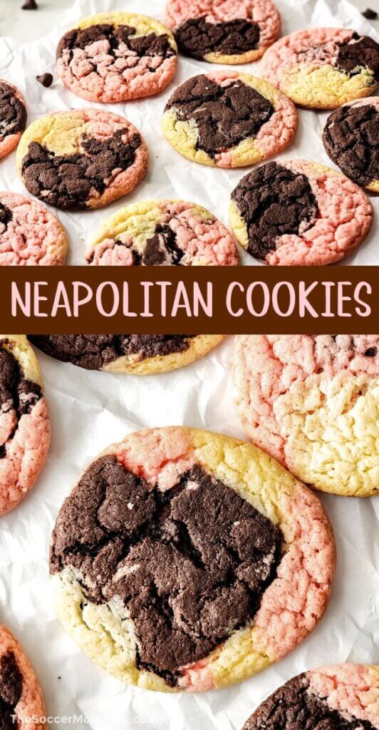 Neapolitan Cookies