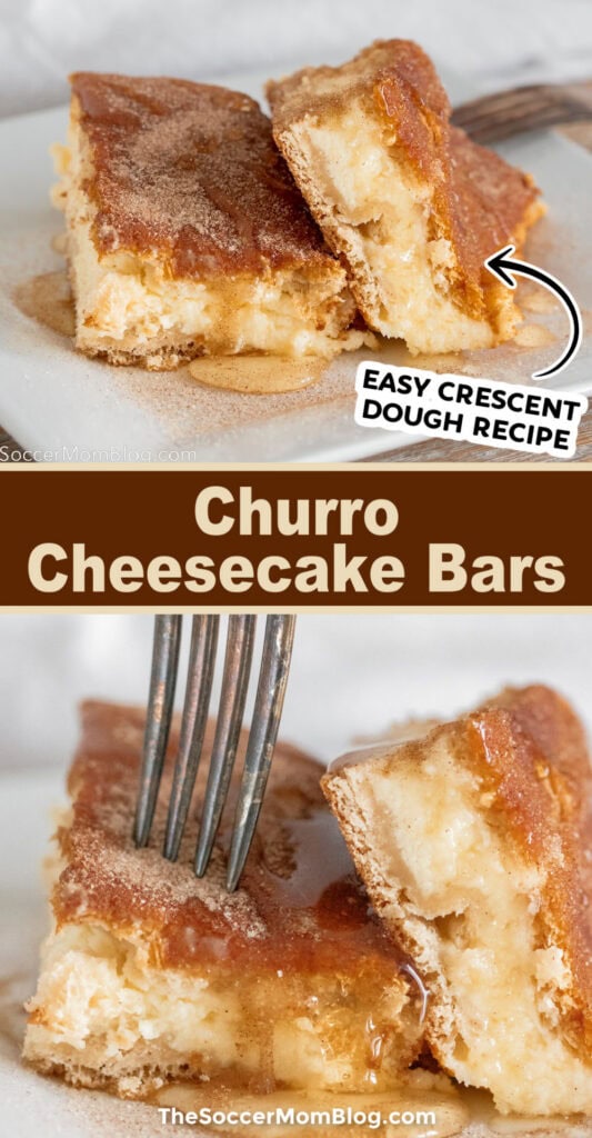 Churro Cheesecake Bars vertical Pinterest Image.
