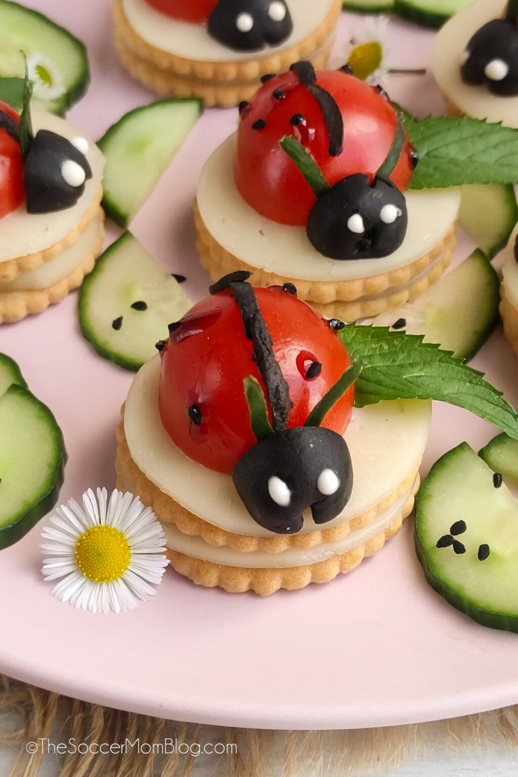 Caprese Ladybug Appetizer - The Soccer Mom Blog