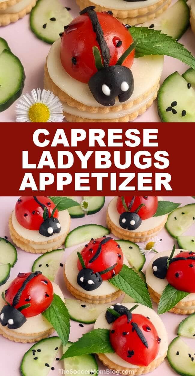 Caprese Ladybug Appetizer - The Soccer Mom Blog