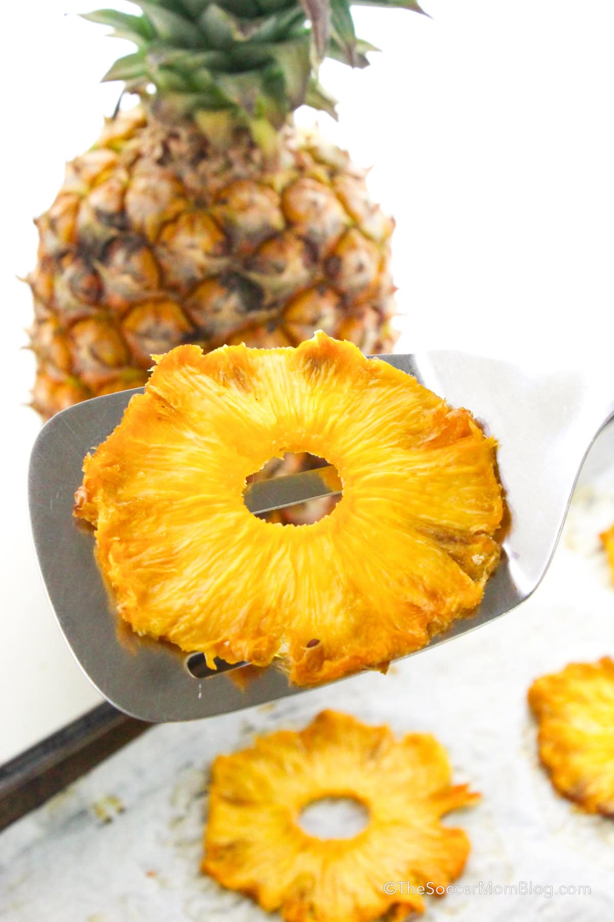 A dried pineapple slice on a metal spatula.