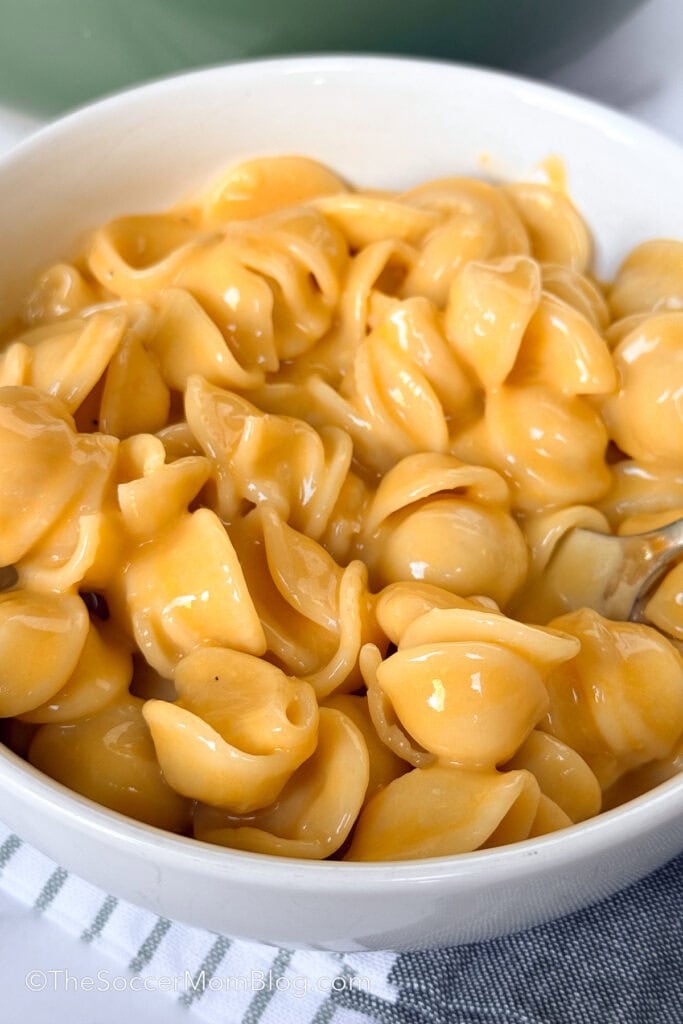 close up on a bowl of homemade shells and cheese.