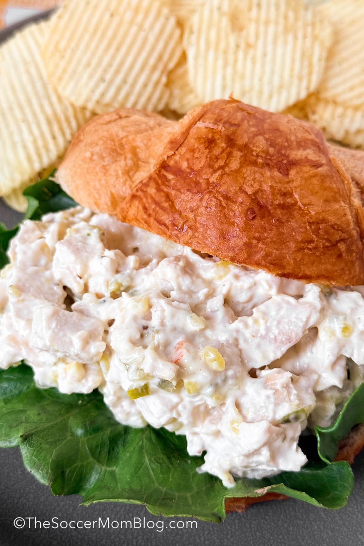 homemade chicken salad croissant sandwich.