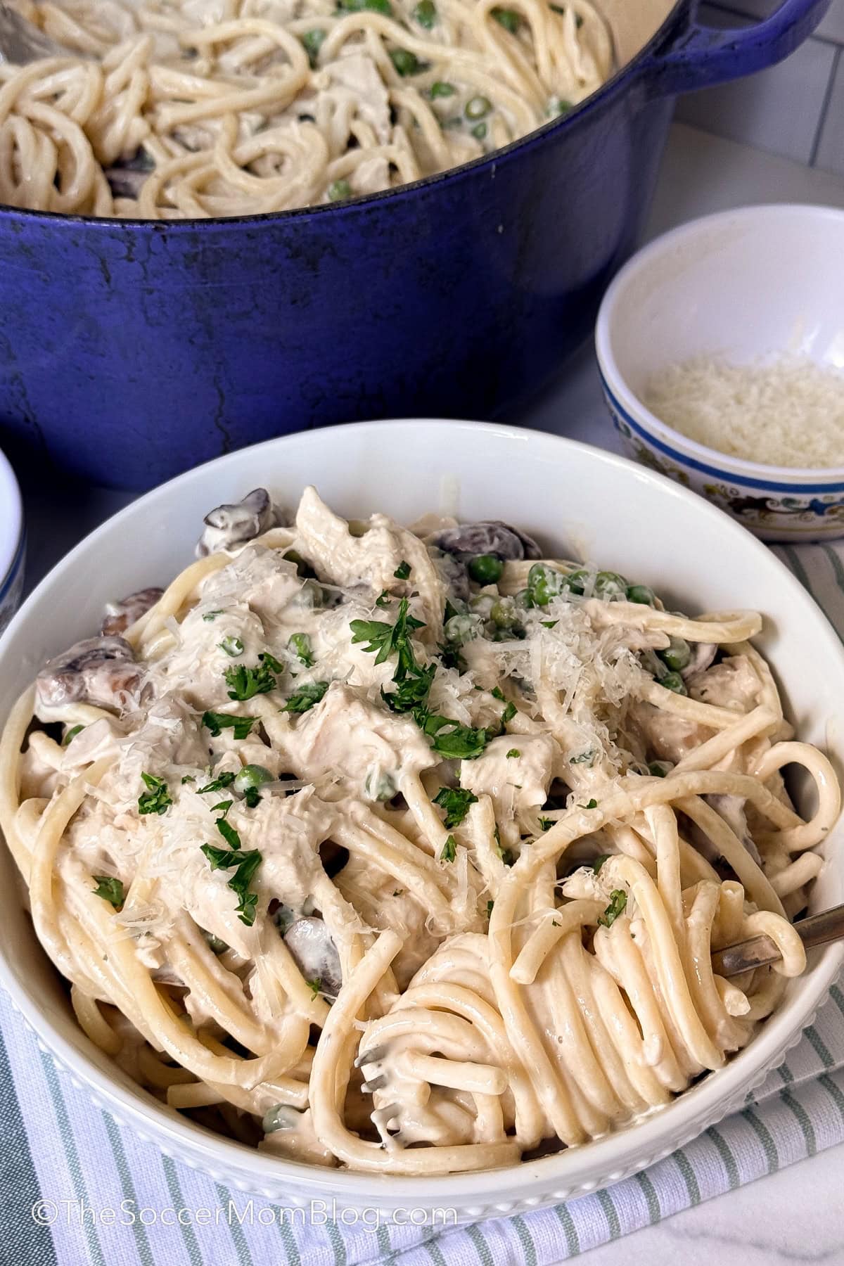 bowl of chicken tetrazzini with the pot in background.