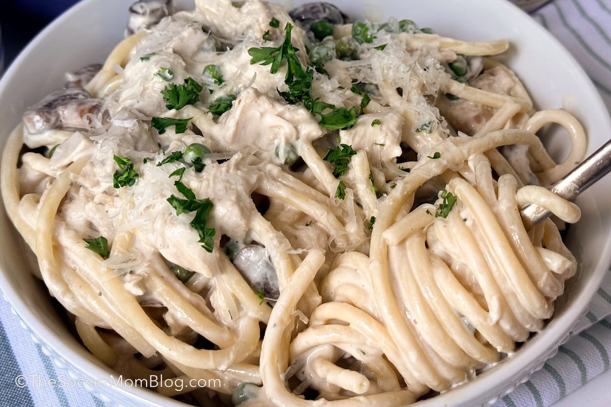 close up on a bowl of creamy chicken tetrazzini.