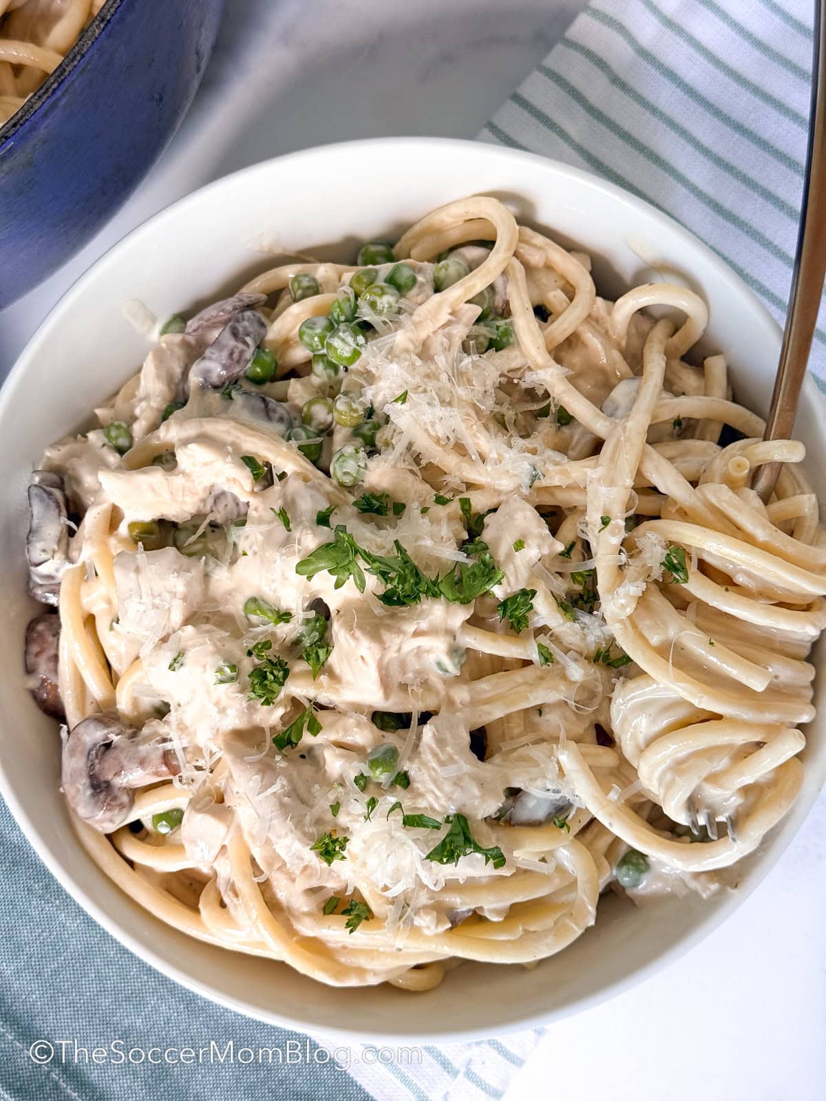 top down view of a bowl of chicken tetrazzini pasta.