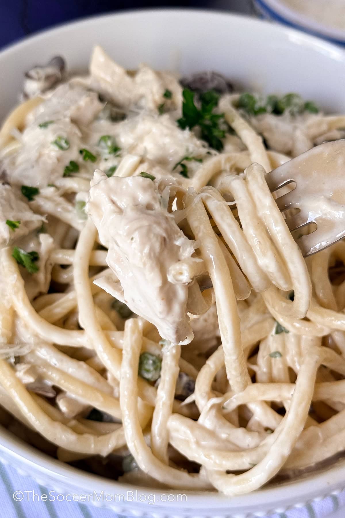 a bite of chicken and bucatini noodles on a fork.