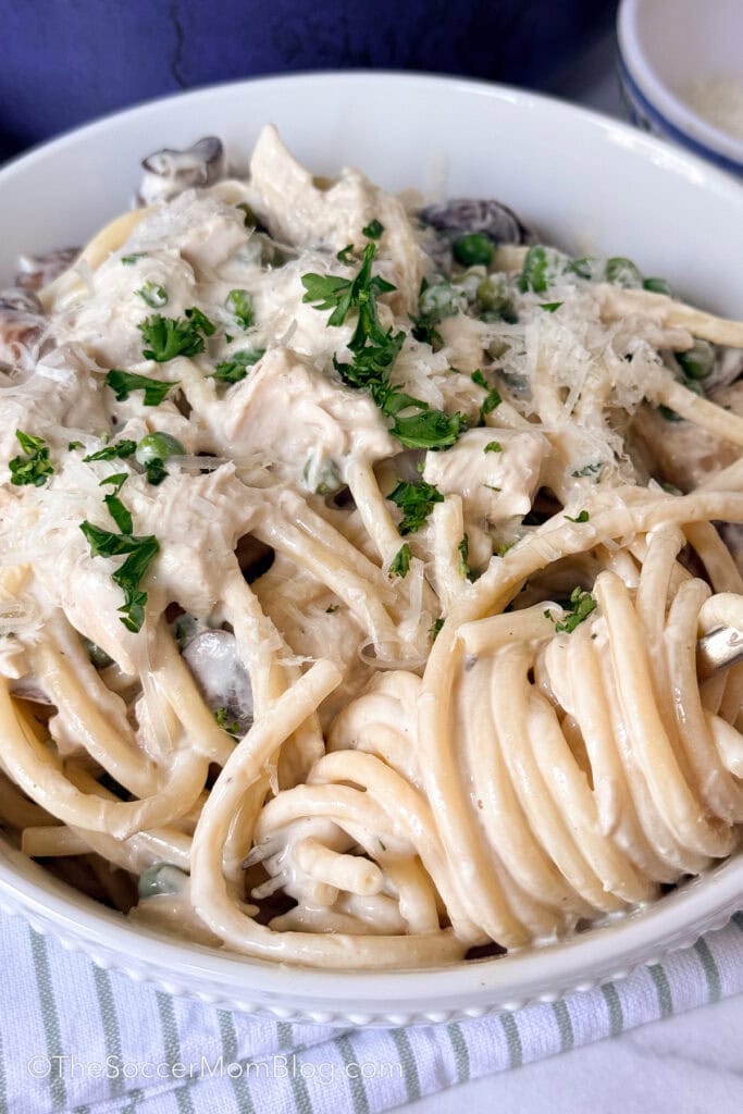 bowl of chicken tetrazzini with noodles twirled around a fork.