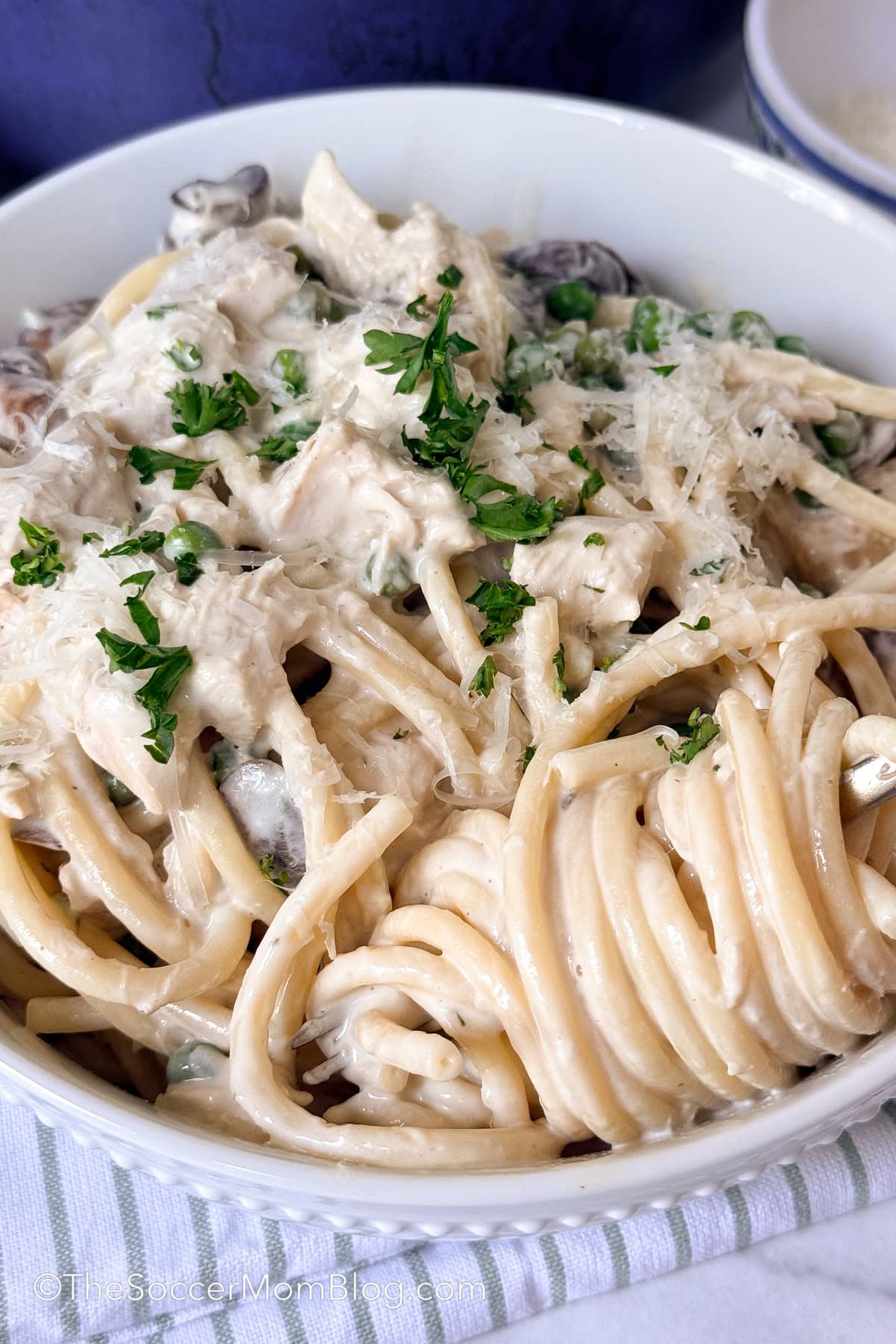 bowl of chicken tetrazzini with noodles twirled around a fork.