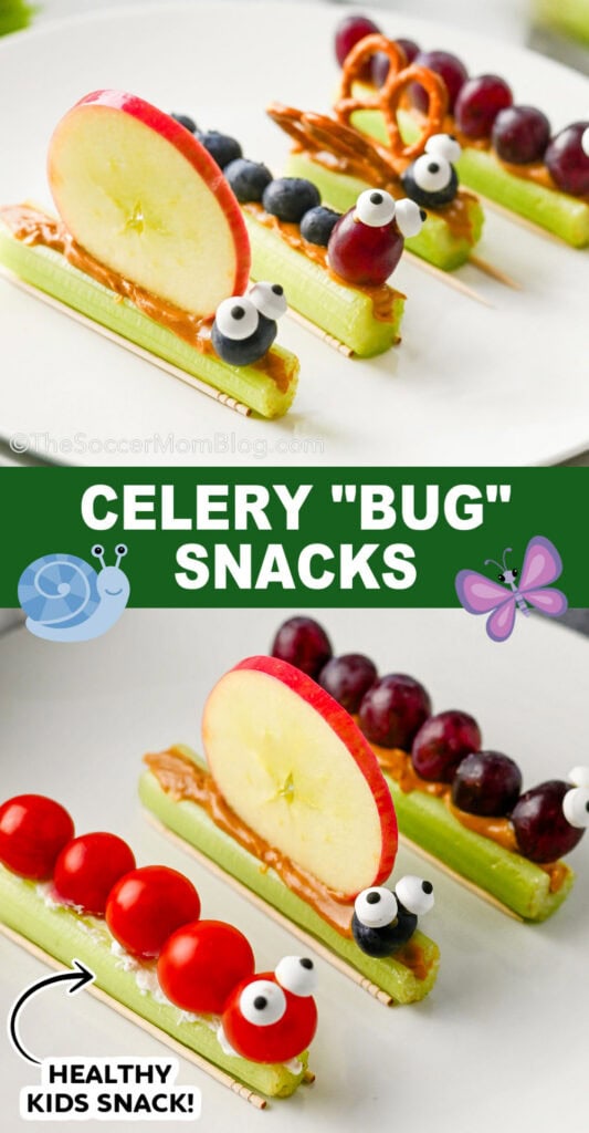 Celery Bug Snacks Pinterest image.
