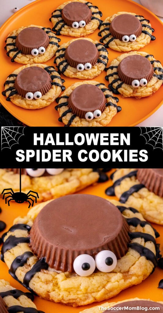 Halloween Spider Cookies Pinterest Image.